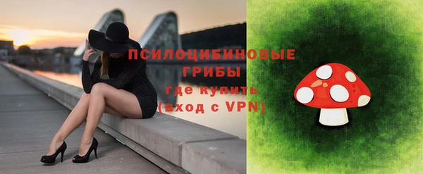 МДПВ Алексин