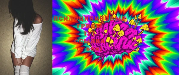 PSILOCYBIN Алексеевка