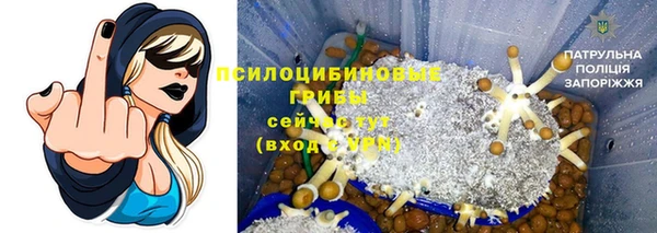 МДПВ Алексин
